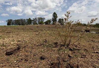 Mais de 200 municípios decretam emergência por causa da estiagem no RS