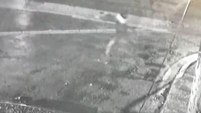 Engenheira sequestrada em São Paulo é encontrada na Rodovia dos Bandeirantes