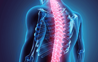 Coluna vertebral: conheça curiosidades sobre uma das estruturas mais importantes do corpo humano 