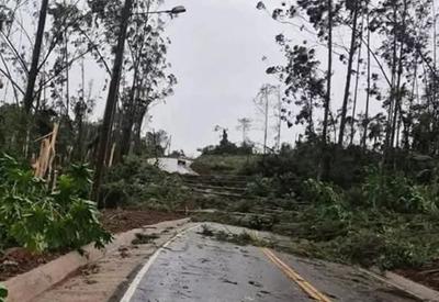 Após tornado, cidade de Santa Catarina decreta situação de emergência