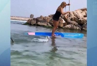 Flagra: Tubarão derruba mulher de prancha durante treino em praia
