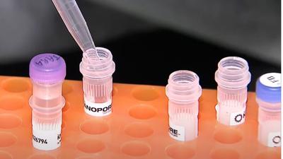 Cinco anos depois da chegada da covid-19, cientistas relembram avanços na luta contra o coronavírus