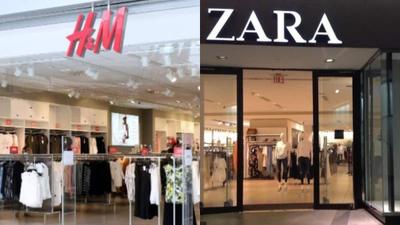 ONG acusa H&M e Zara de ligação com desmatamento no Brasil