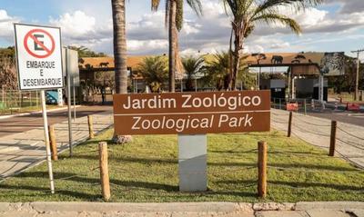 Zoológico de Brasília seguirá fechado após novo caso suspeito de gripe aviária 