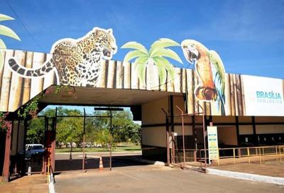 Zoológico de Brasília é fechado após suspeita de animais mortos por gripe aviária