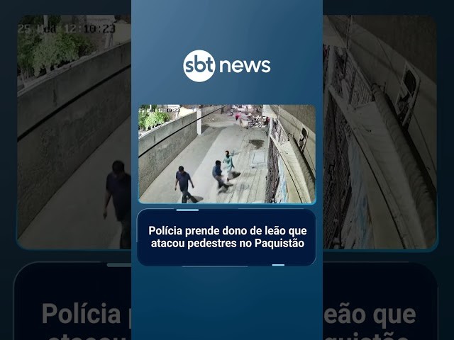 Polícia prende dono de leão que atacou pedestres no Paquistão | #SBTNotícias