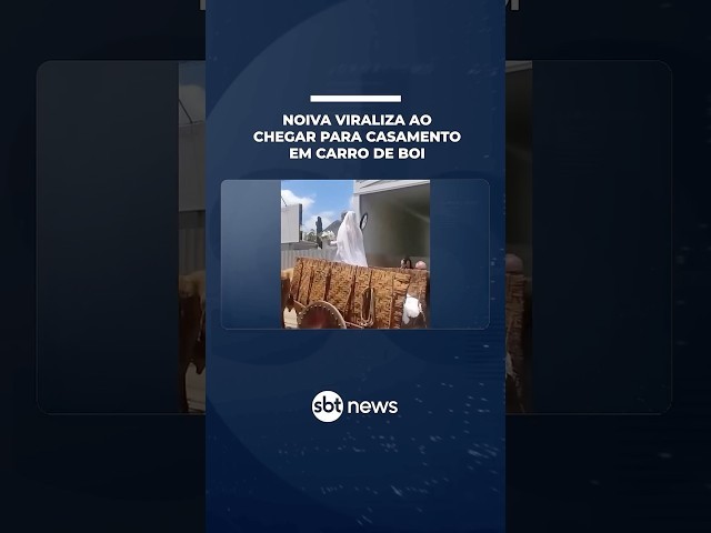 Noiva viraliza ao chegar para casamento em carro de boi | #SBTNotícias