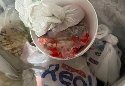 Laudo confirma contaminação em pizzaria ligada à morte e mais de 90 intoxicações na PB