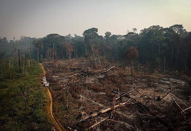 Imagem da noticia Desmatamento na Amazônia cai 62% no acumulado do ano e registra menor taxa desde 2017