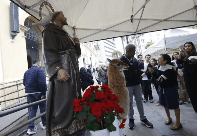 Imagem da noticia Cachorros, gatos, furões e até uma alpaca recebem bênção de São Francisco de Assis