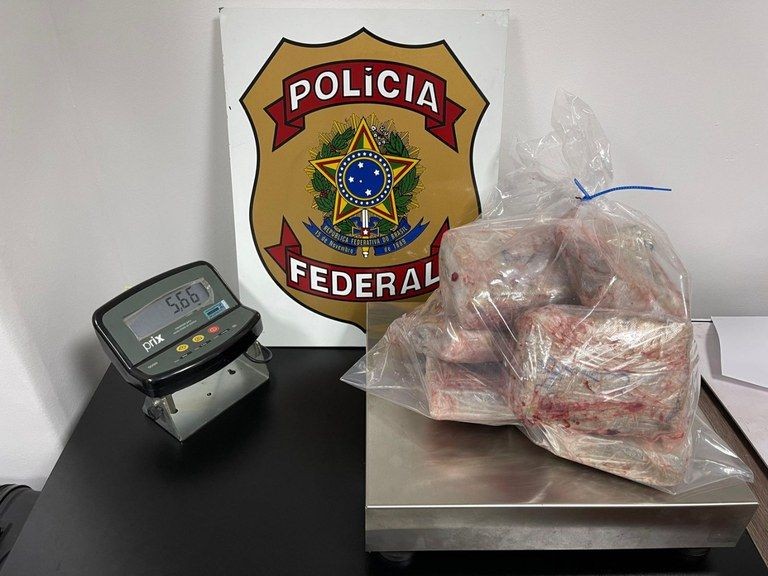 Imagem da noticia Traficantes usam até peixe congelado para transportar drogas via aeroportos no Brasil