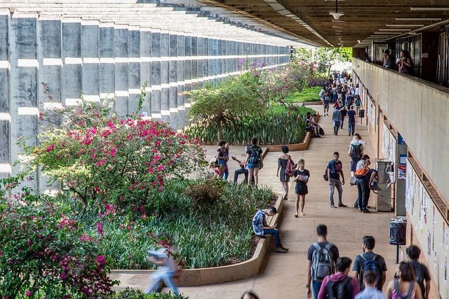 Imagem da noticia Cursos de graduação da UnB terão 2% das vagas reservadas a pessoas trans