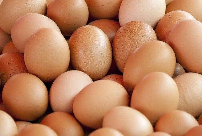 Imagem da noticia Brasil celebra acordo para a exportação de ovos para o Chile