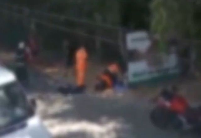Imagem da noticia Idoso morre e outros 12 ficam feridos em ataque de abelhas