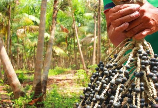 Imagem da noticia Empresas brasileiras usam COP28 como vitrine para investimentos verdes