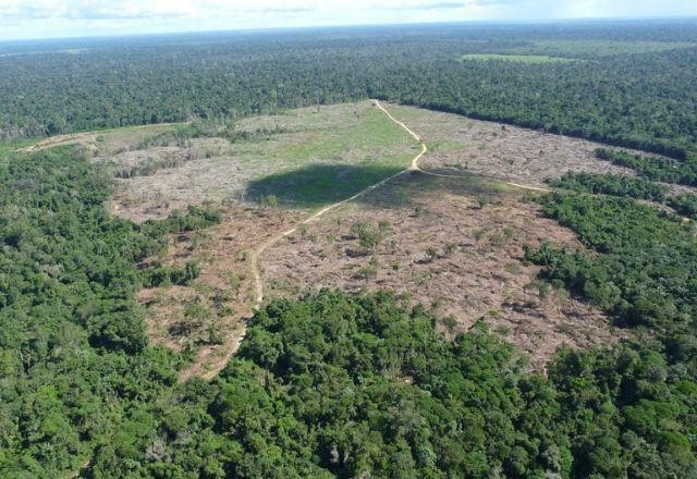 Imagem da noticia AGU cobra R$ 292 milhões de infrator ambiental por danos climáticos na Amazônia