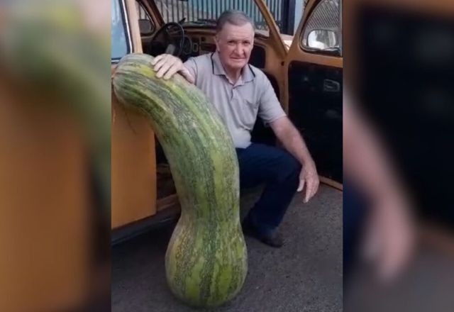 Imagem da noticia Paranaense colhe abobrinha gigante de mais de 70kg