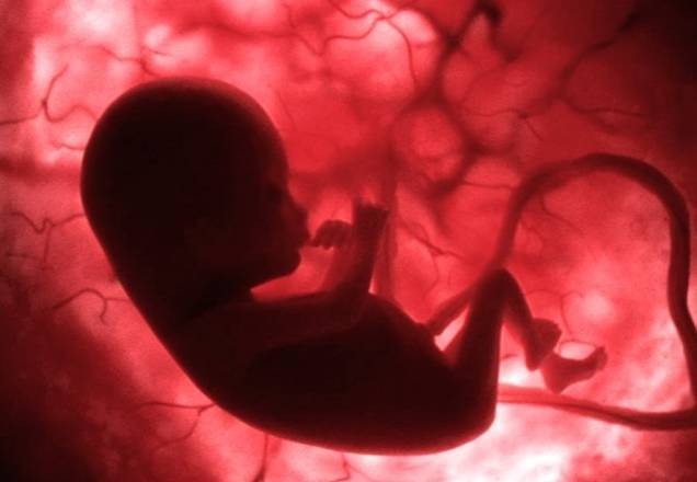 Imagem da noticia Aborto: Nova portaria mantém exigência de informar polícia sobre estupro