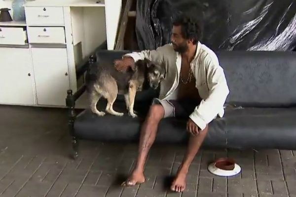 Imagem da noticia Abrigos para moradores de rua de SP também vão acolher os cães
