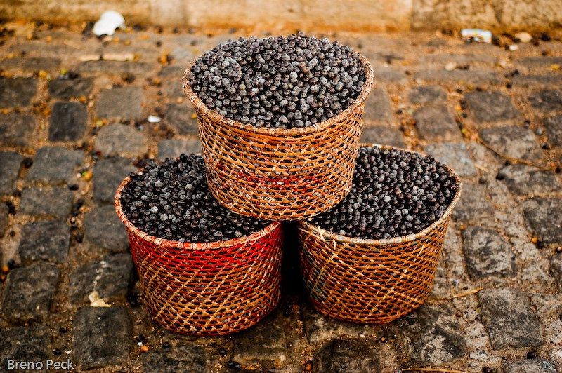 Pará é responsável pela produção de 94% do açaí no Brasil