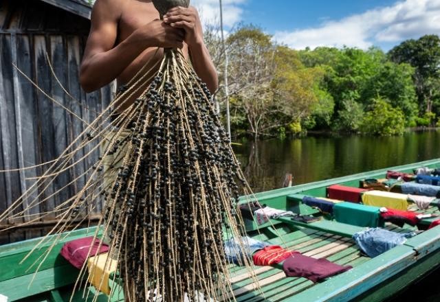 Imagem da noticia Bancos públicos têm R$ 411 bilhões para financiar projetos verdes