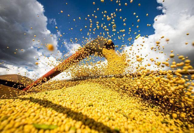 Imagem da noticia Produção de grãos pode chegar a 317,5 milhões de toneladas na safra 2023/24