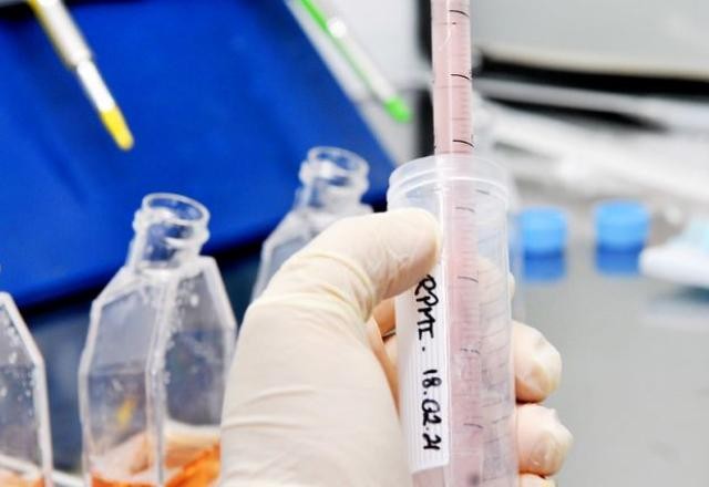 Imagem da noticia Estudos sobre eficácia da ivermectina contra covid tem erros ou fraudes, apontam cientistas