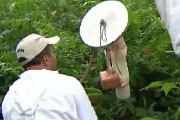 Agentes do controle de endemias procuram mosquitos nas matas de SP