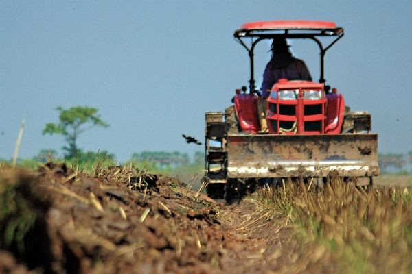 Imagem da noticia Agricultura e mineração impulsionam crescimento da indústria no Pará