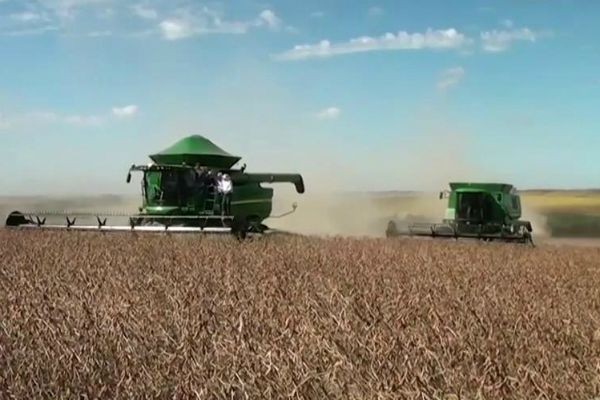 Imagem da noticia Agricultura tem melhor resultado desde 1996 e ajuda a tirar o Brasil da recessão