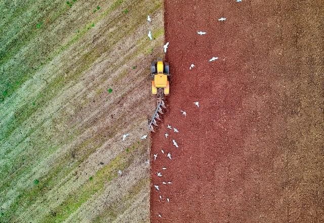 Vegetação natural diminui 513 mil km²; área agrícola, 230 mil km² a mais