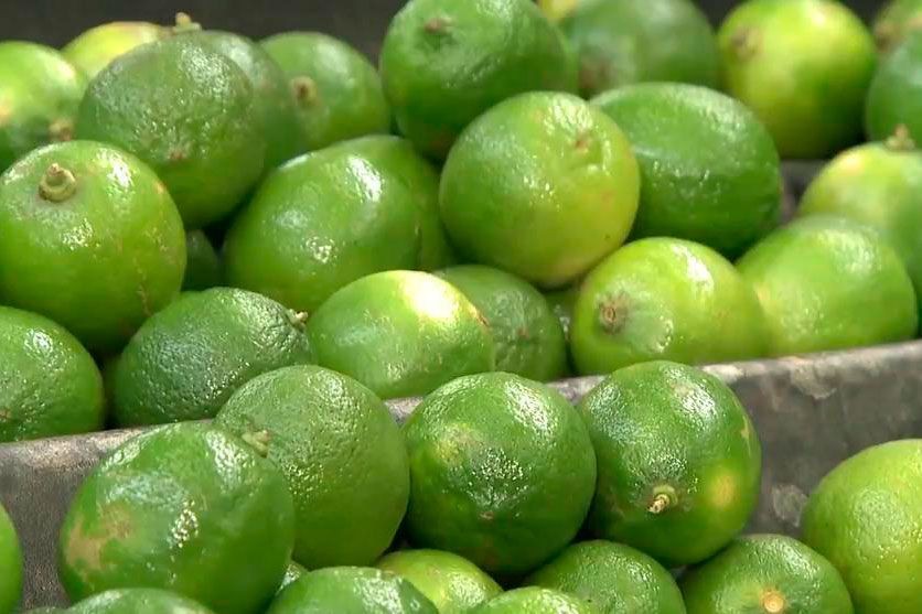 Imagem da noticia Alerta ao consumidor! Preço das frutas está subindo no Brasil