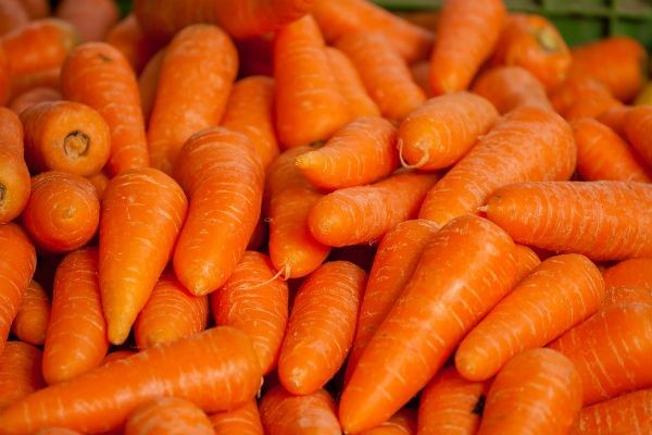 Imagem da noticia Alunos de Duque de Caxias recebem sobra de cenouras em vez de chocolate