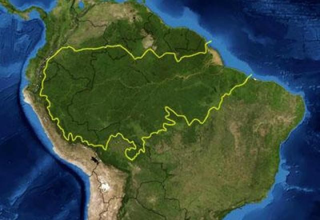 COP27: Colômbia propõe cúpula de países amazônicos para salvar floresta