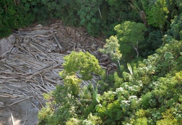 Imagem da noticia Desmatamento na Amazônia alcança maior patamar em 15 anos