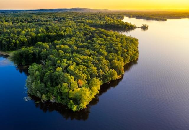 Imagem da noticia Amazônia: bancos centrais do mundo financiam indiretamente o desmate