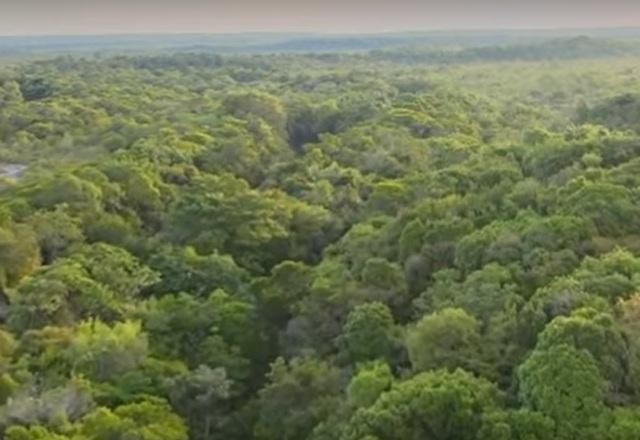 Imagem da noticia Governo anuncia medidas para combate ao desmatamento na Amazônia