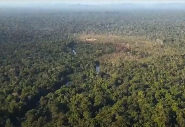 Imagem da noticia BID reúne países da Bacia Amazônica para anunciar projetos com ações integradas
