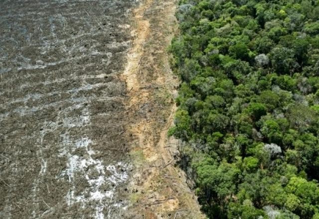 Noruega retomará Fundo Amazônia caso Brasil mude de governo