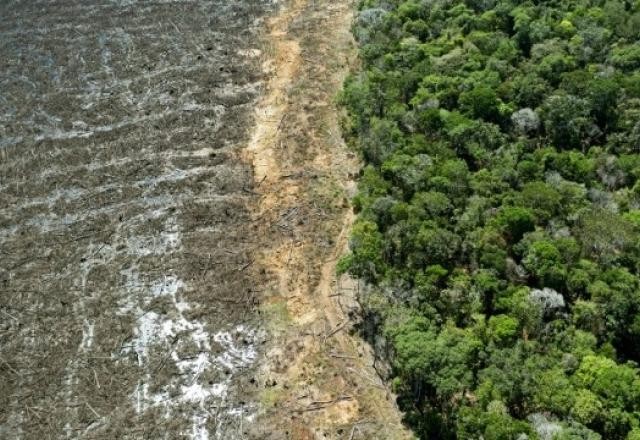 Imagem da noticia Noruega retomará Fundo Amazônia caso Brasil mude de governo