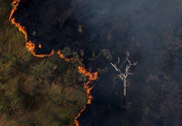 Imagem da noticia Brigadas do Ibama deixam queimadas por falta de pagamento