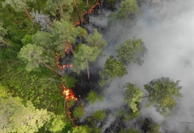 Imagem da noticia STF determina abertura de crédito extraordinário para preservação da Amazônia