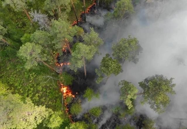 STF determina abertura de crédito extraordinário para preservação da Amazônia