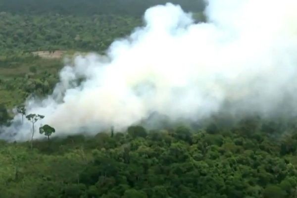 Imagem da noticia Amazônia tem 300 Km quadrados desmatados em apenas três meses