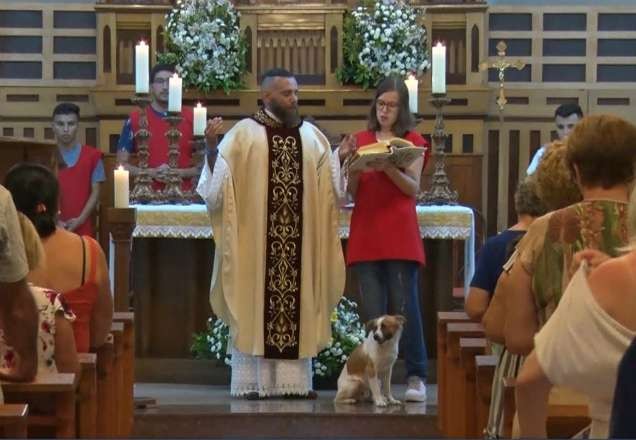 Imagem da noticia Amigos do padre, cães de rua frequentam missa no interior de SP