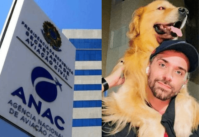 Imagem da noticia Após morte de Joca, governo cria comissão para definir regras para transporte de pets em avião