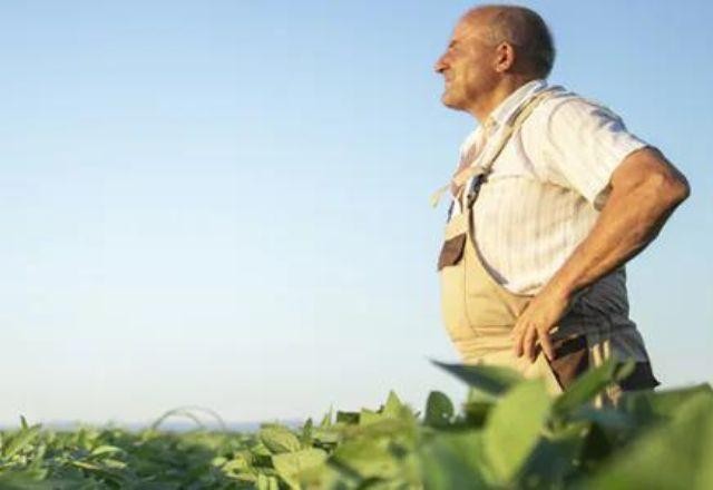 Imagem da noticia Rabobank vê menor pressão sobre os preços agora e riscos para fim do ano