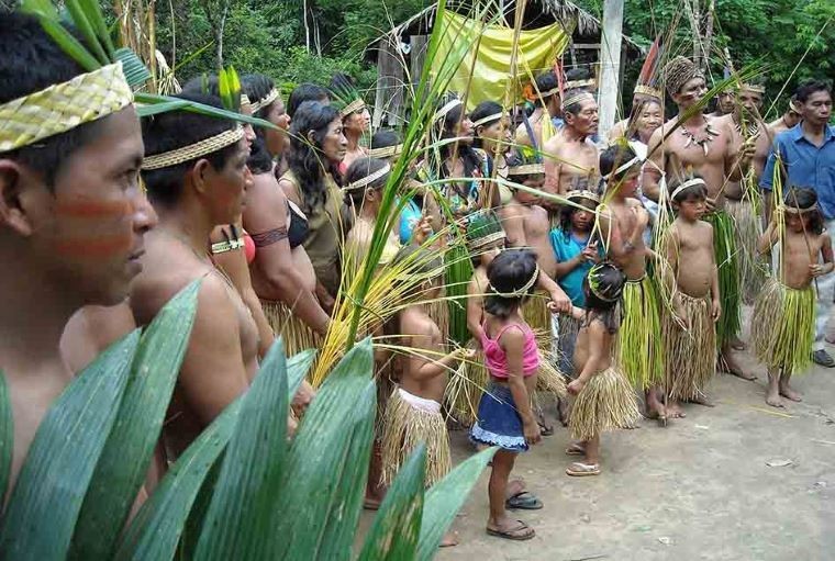 Imagem da noticia Governo aprova regularização de terras indígenas das etnias apurinã e kanela do Araguaia