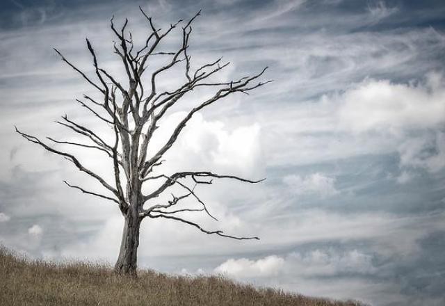 Imagem da noticia Especial COP27: Quem tem medo do aquecimento global?