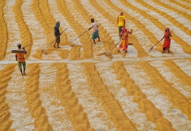 Imagem da noticia Arroz mais caro? Índia proíbe exportação devido à baixa na produção